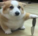 传闻某队中高管与教练将一同加盟
