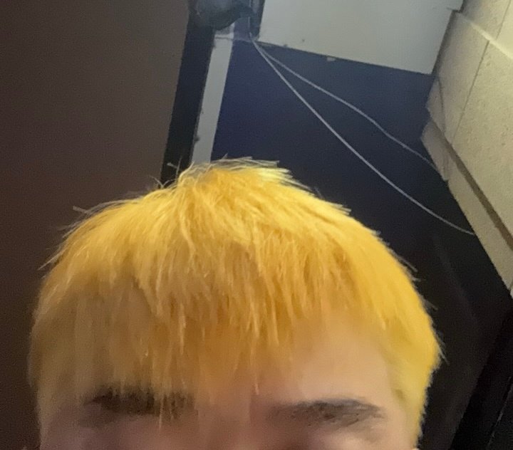 仅媒体消息