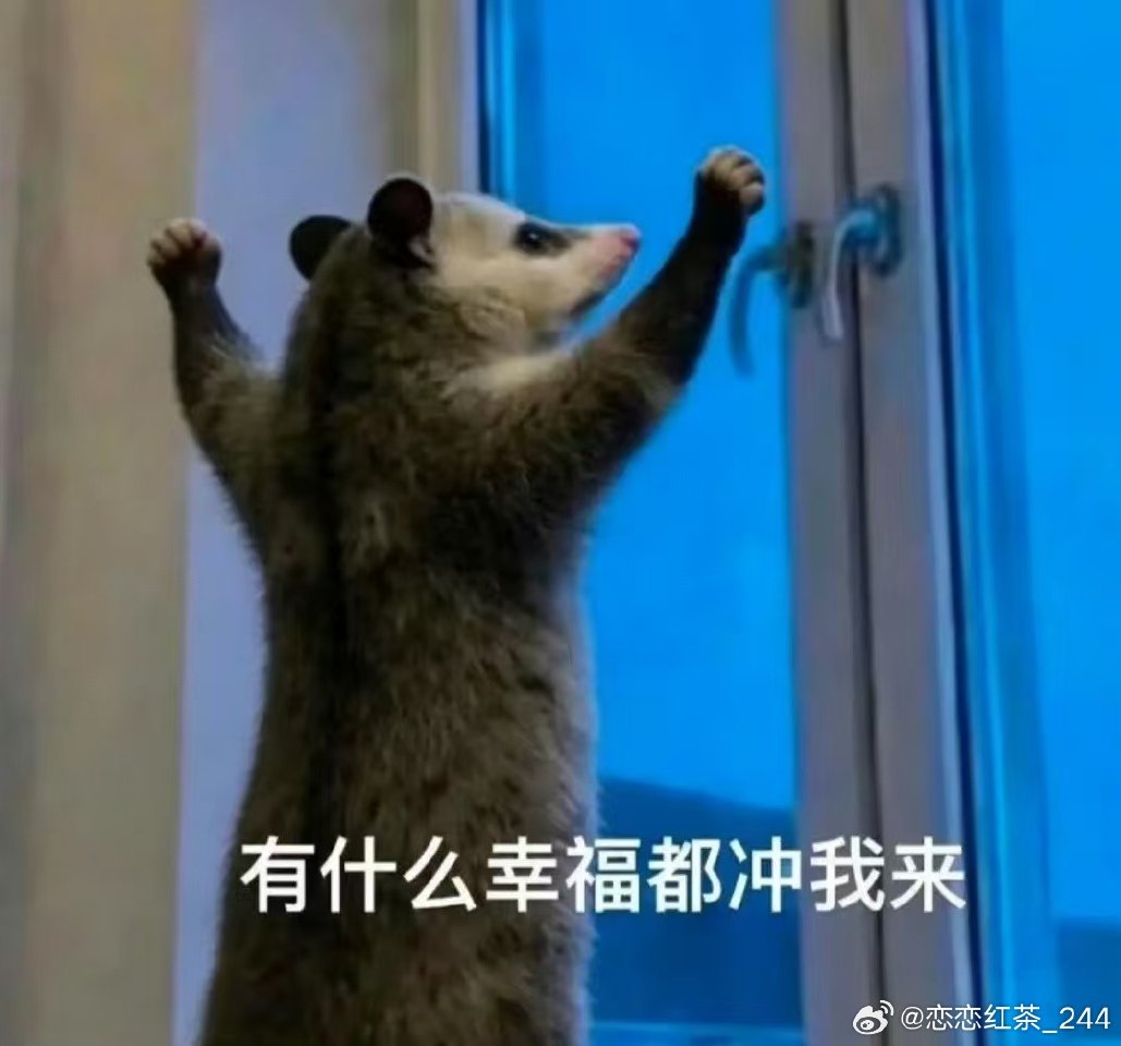 曝Flandre加入BLG,与Bin竞争首发